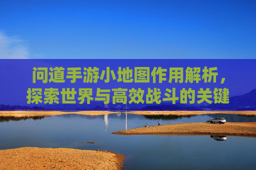 问道手游小地图作用解析，探索世界与高效战斗的关键工具