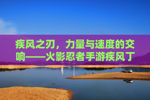 疾风之刃，力量与速度的交响——火影忍者手游疾风丁次深度解析