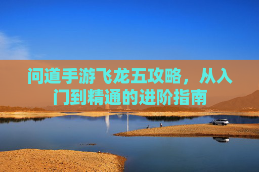 问道手游飞龙五攻略,从入门到精通的进阶指南