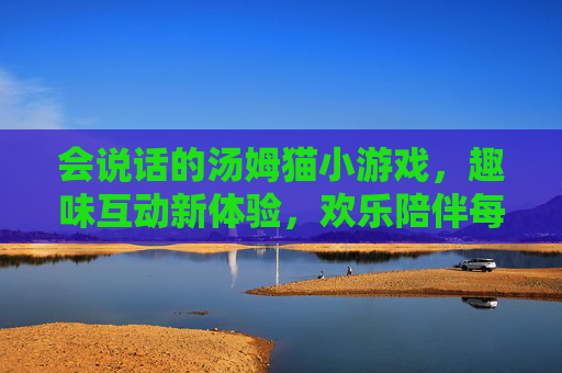 会说话的汤姆猫小游戏,趣味互动新体验,欢乐陪伴每一天