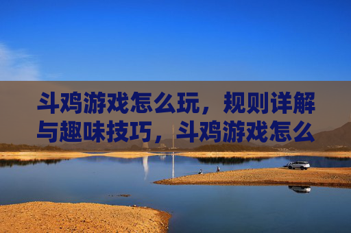 斗鸡游戏怎么玩，规则详解与趣味技巧，斗鸡游戏怎么玩，规则详解与趣味技巧