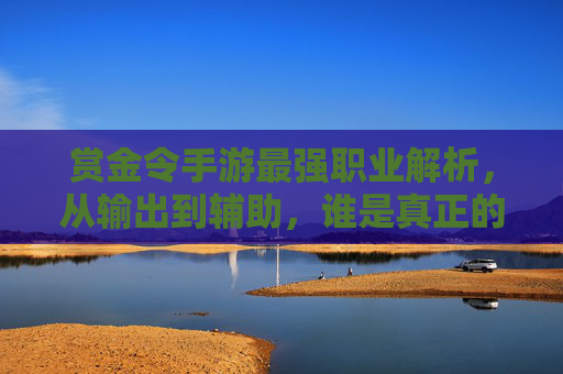 赏金令手游最强职业解析,从输出到辅助,谁是真正的战神与财富收割机?