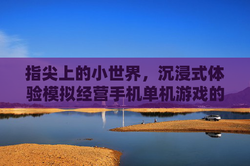 指尖上的小世界,沉浸式体验模拟经营手机单机游戏的魅力,指尖上的小世界,沉浸式体验模拟经营手机单机游戏的魅力
