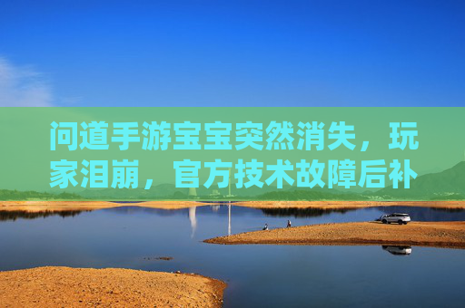 问道手游宝宝突然消失,玩家泪崩,官方技术故障后补偿方案引期待