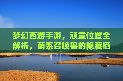 梦幻西游手游,顽童位置全解析,萌系召唤兽的隐藏栖息地与获取攻略