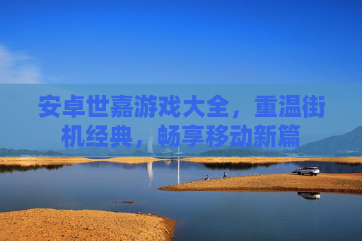 安卓世嘉游戏大全,重温街机经典,畅享移动新篇