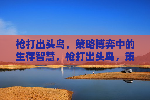 枪打出头鸟，策略博弈中的生存智慧，枪打出头鸟，策略博弈中的生存智慧