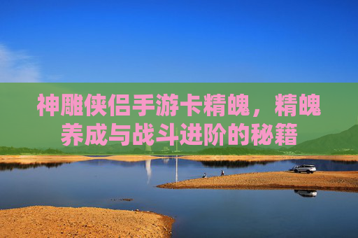 神雕侠侣手游卡精魄,精魄养成与战斗进阶的秘籍