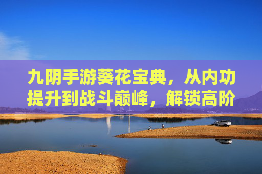 九阴手游葵花宝典，从内功提升到战斗巅峰，解锁高阶武功的秘密，九阴手游葵花宝典，从内功提升到战斗巅峰，解锁高阶武功的秘密