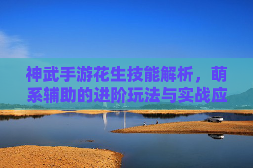神武手游花生技能解析,萌系辅助的进阶玩法与实战应用