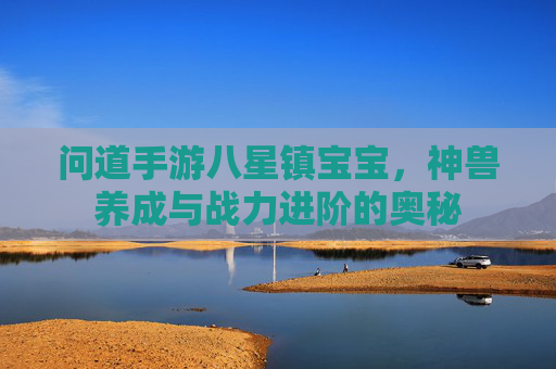 问道手游八星镇宝宝,神兽养成与战力进阶的奥秘