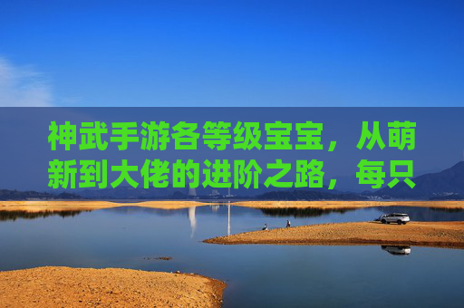 神武手游各等级宝宝,从萌新到大佬的进阶之路,每只宝宝都有其独特魅力与成长轨迹,神武手游宝宝进阶之路,从萌新到大佬的成长轨迹与独特魅力解析