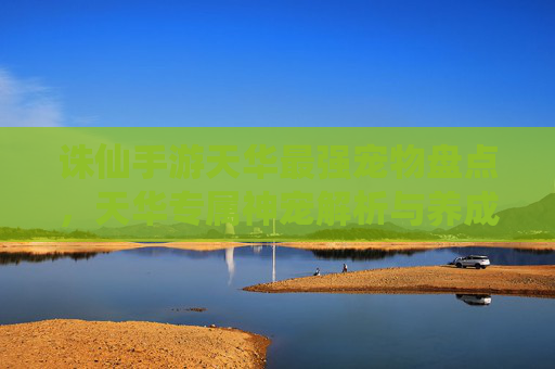 诛仙手游天华最强宠物盘点,天华专属神宠解析与养成攻略,诛仙手游天华最强宠物盘点,专属神宠解析与养成攻略