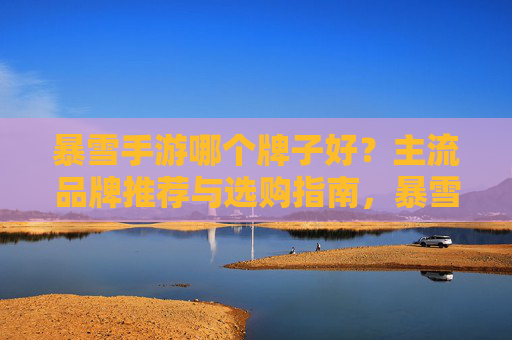 暴雪手游哪个牌子好？主流品牌推荐与选购指南，暴雪手游哪个牌子好？主流品牌推荐与选购指南