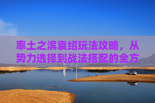 率土之滨袁绍玩法攻略，从势力选择到战法搭配的全方位解析，率土之滨袁绍玩法攻略，从势力选择到战法搭配的全方位解析