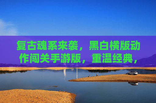 复古魂系来袭，黑白横版动作闯关手游版，重温经典，热血再燃