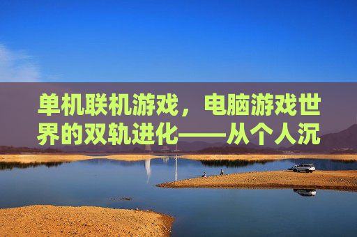 单机联机游戏,电脑游戏世界的双轨进化——从个人沉浸到社交协作的体验变革