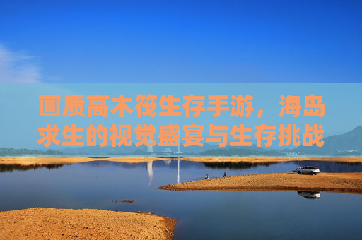 画质高木筏生存手游,海岛求生的视觉盛宴与生存挑战
