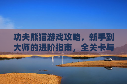 功夫熊猫游戏攻略,新手到大师的进阶指南,全关卡与角色技能解析