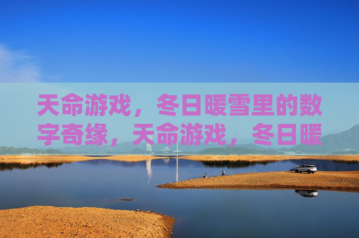 天命游戏，冬日暖雪里的数字奇缘，天命游戏，冬日暖雪里的数字奇缘