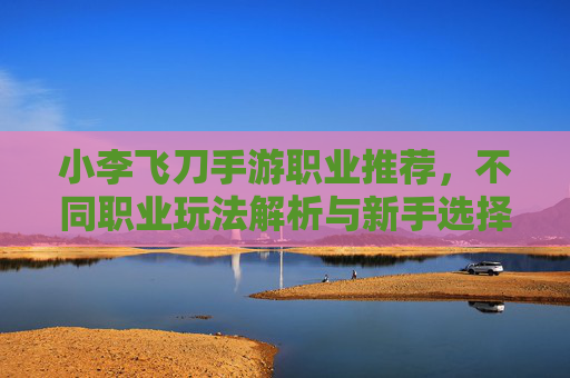 小李飞刀手游职业推荐，不同职业玩法解析与新手选择指南