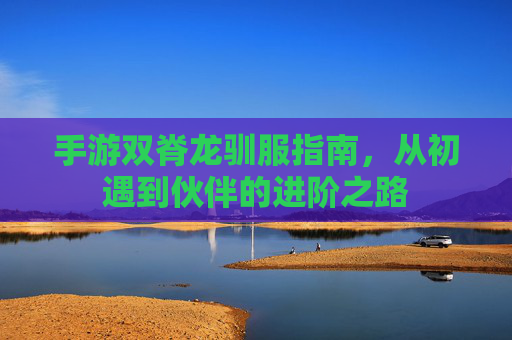 手游双脊龙驯服指南，从初遇到伙伴的进阶之路