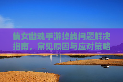 倩女幽魂手游掉线问题解决指南，常见原因与应对策略