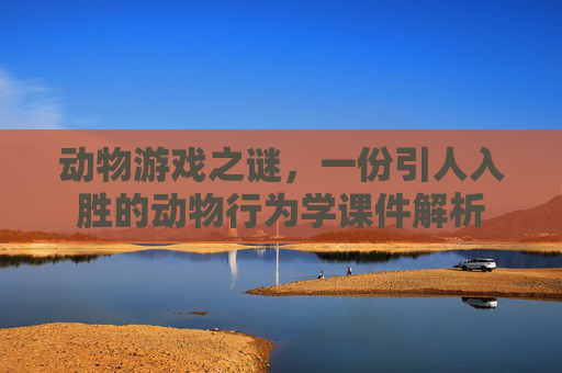 动物游戏之谜,一份引人入胜的动物行为学课件解析