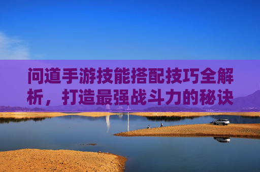 问道手游技能搭配技巧全解析,打造最强战斗力的秘诀,问道手游技能搭配技巧全解析,打造最强战斗力的秘诀