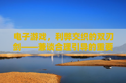 电子游戏，利弊交织的双刃剑——兼谈合理引导的重要性，电子游戏，利弊交织的双刃剑——兼谈合理引导的重要性