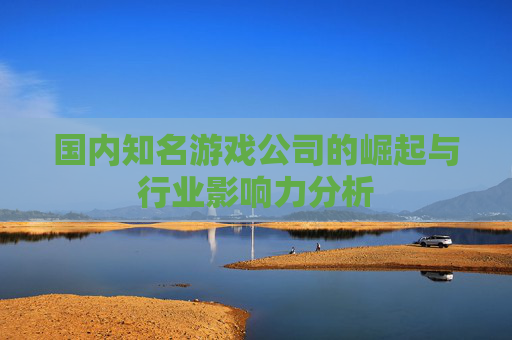 国内知名游戏公司的崛起与行业影响力分析