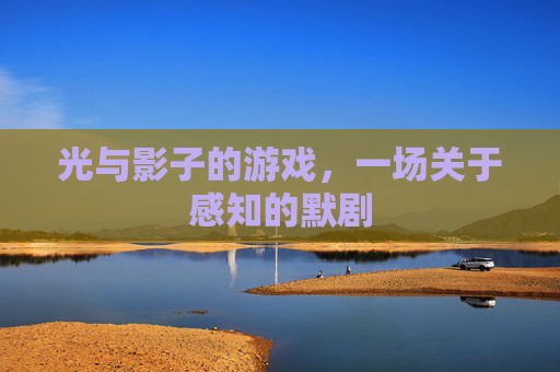 光与影子的游戏,一场关于感知的默剧
