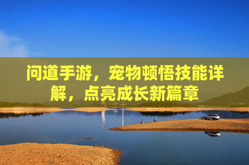 问道手游,宠物顿悟技能详解,点亮成长新篇章