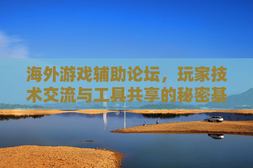 海外游戏辅助论坛,玩家技术交流与工具共享的秘密基地——技术、社区与游戏辅助的深度探索