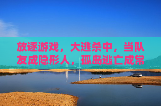 放逐游戏,大逃杀中,当队友成隐形人,孤岛逃亡成常态,放逐游戏,大逃杀中队友隐形,孤岛逃亡成常态