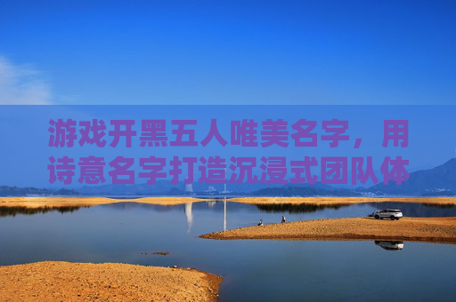 游戏开黑五人唯美名字,用诗意名字打造沉浸式团队体验,五人开黑诗意美名,以唯美诗意营造沉浸式团队体验