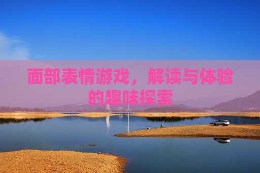 面部表情游戏,解读与体验的趣味探索