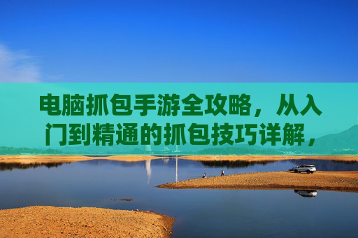 电脑抓包手游全攻略,从入门到精通的抓包技巧详解,电脑抓包手游全攻略,从入门到精通的抓包技巧详解