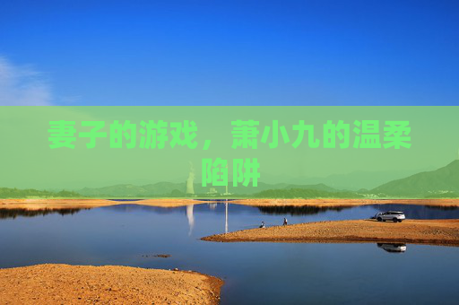 妻子的游戏,萧小九的温柔陷阱