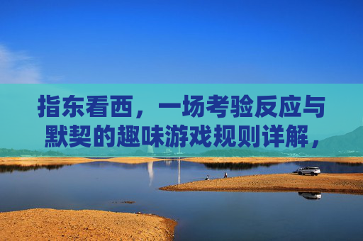 指东看西,一场考验反应与默契的趣味游戏规则详解,指东看西,一场考验反应与默契的趣味游戏规则详解