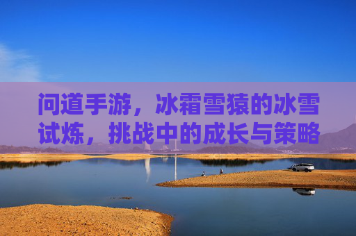 问道手游，冰霜雪猿的冰雪试炼，挑战中的成长与策略，问道手游，冰霜雪猿冰雪试炼，挑战中的成长与策略解析