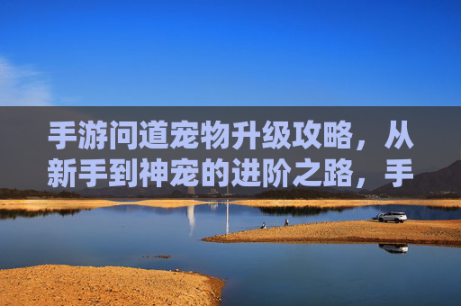 手游问道宠物升级攻略,从新手到神宠的进阶之路,手游问道宠物升级攻略,从新手到神宠的进阶之路