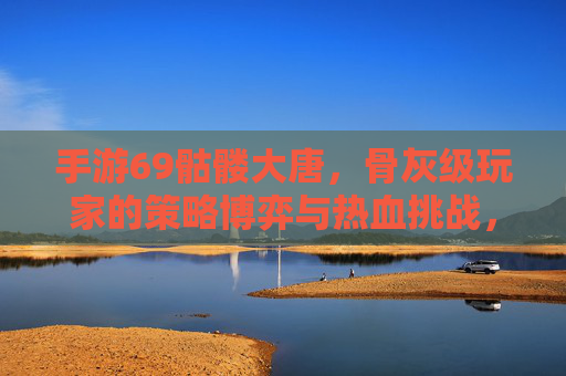 手游69骷髅大唐，骨灰级玩家的策略博弈与热血挑战，手游69骷髅大唐，骨灰级玩家的策略博弈与热血挑战