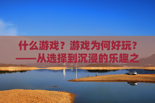 什么游戏？游戏为何好玩？——从选择到沉浸的乐趣之旅