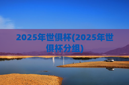 2025年世俱杯(2025年世俱杯分组)