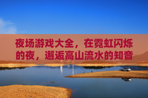 夜场游戏大全,在霓虹闪烁的夜,邂逅高山流水的知音之旅