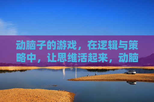 动脑子的游戏，在逻辑与策略中，让思维活起来，动脑子的游戏，在逻辑与策略中让思维活起来