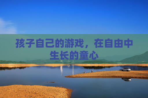 孩子自己的游戏,在自由中生长的童心