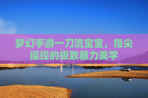 梦幻手游一刀流宝宝,指尖操控的极致暴力美学