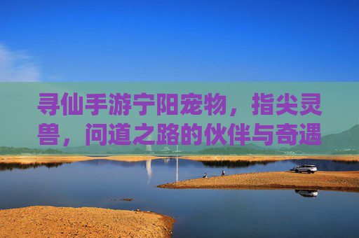 寻仙手游宁阳宠物,指尖灵兽,问道之路的伙伴与奇遇,寻仙手游宁阳宠物,指尖灵兽,问道之路的伙伴与奇遇